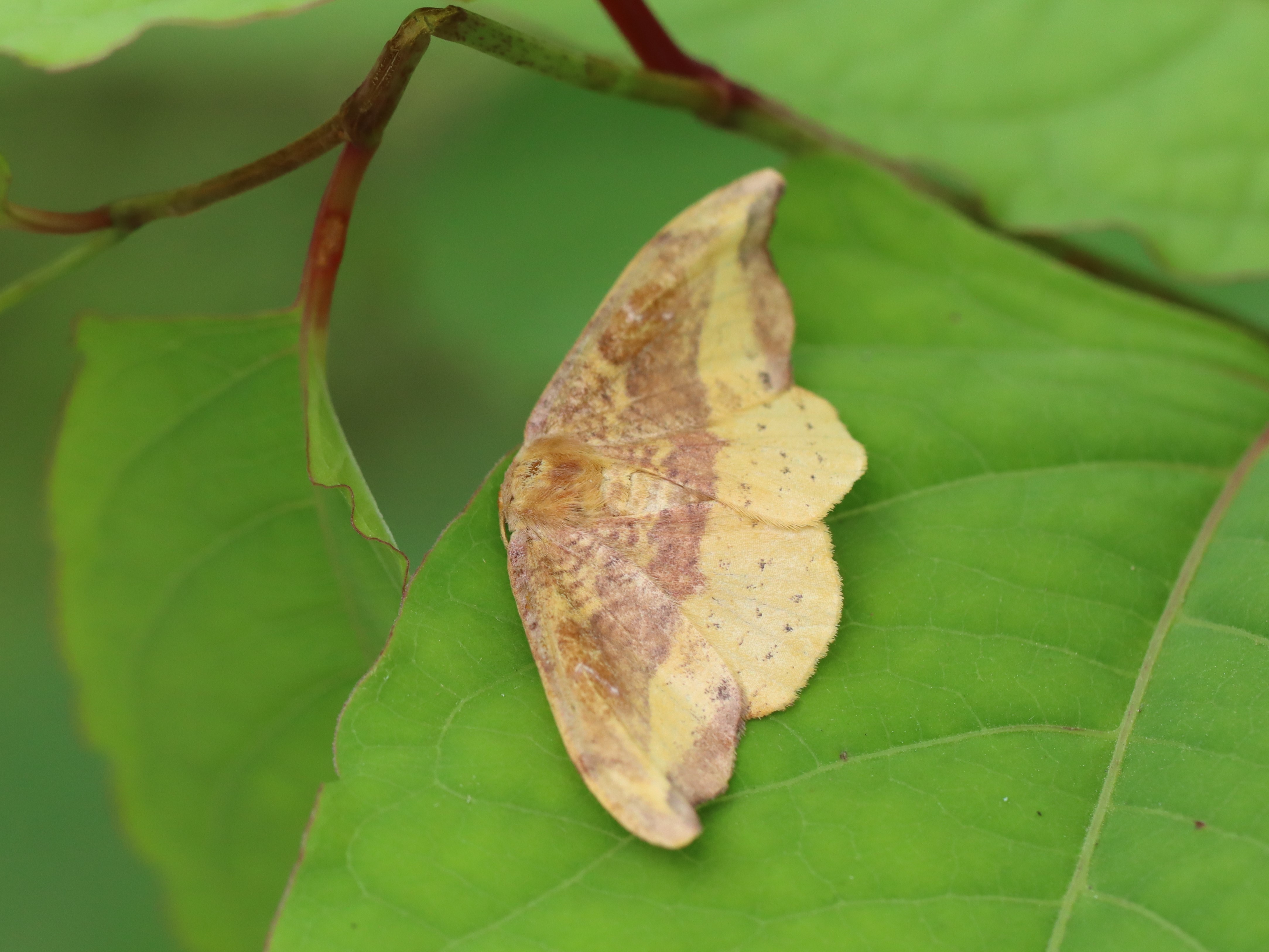 photo_1